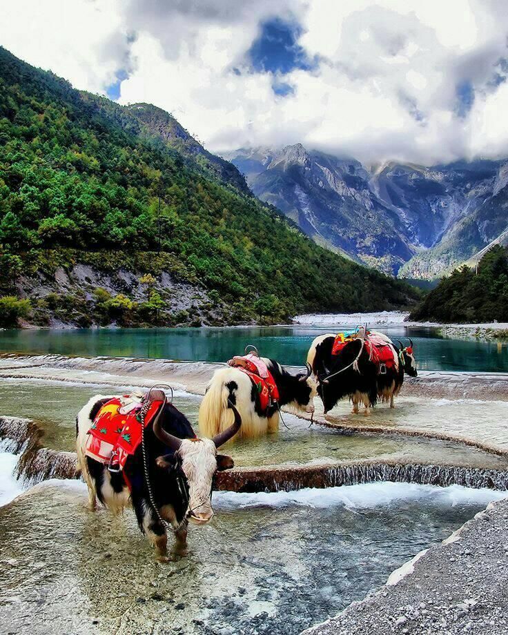 يونان 3